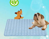 Blue cooling mat